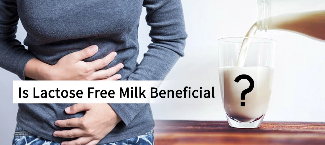 Know The Benefits Of Lactose Free Milk Where To Buy Milkandmore