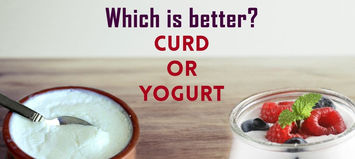 How Curd and Yogurt are Different - Milk and More